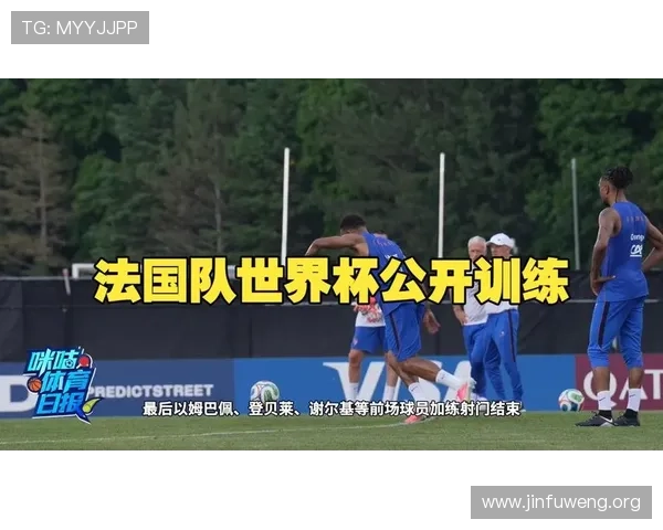 法国对阵塞内加尔世界杯比赛全场回顾与精彩瞬间分析 法国对阵塞内加尔世界杯比赛全场回顾与精彩瞬间分析